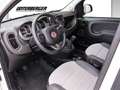 Fiat Panda 0.9 Twin Air Cross 4x4 Weiß - thumbnail 7