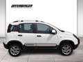 Fiat Panda 0.9 Twin Air Cross 4x4 Weiß - thumbnail 3