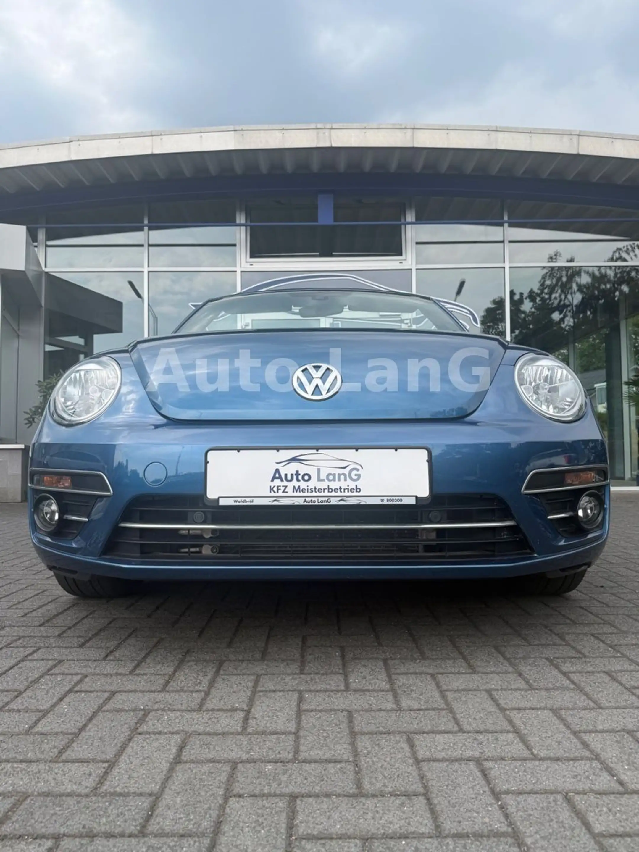Volkswagen Beetle Cabrio Allstar DSG NAVI KAMERA PDC SHZ — photo 4