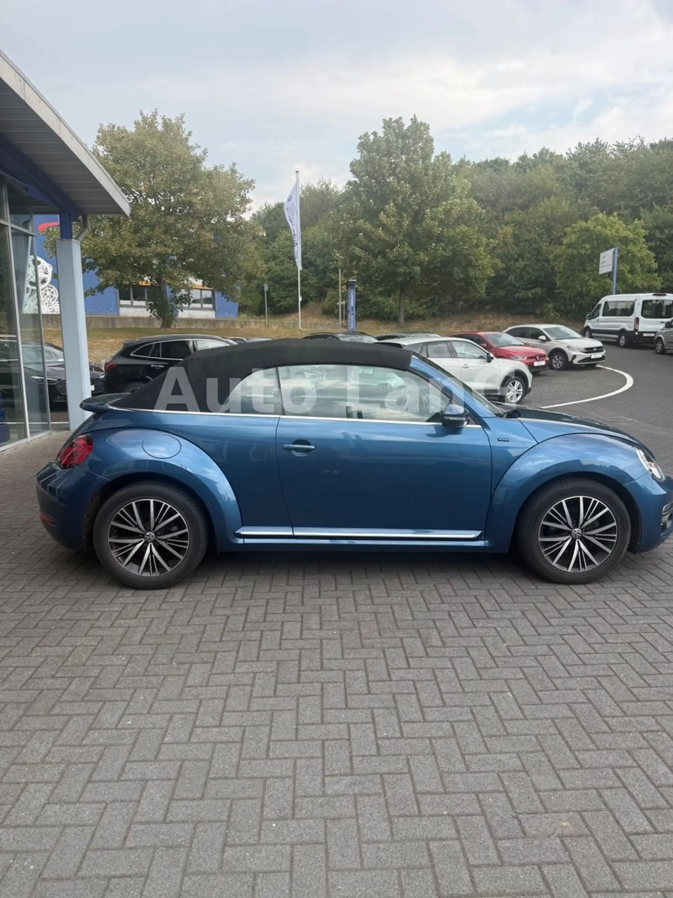 Volkswagen Beetle Cabrio Allstar DSG NAVI KAMERA PDC SHZ — photo 3