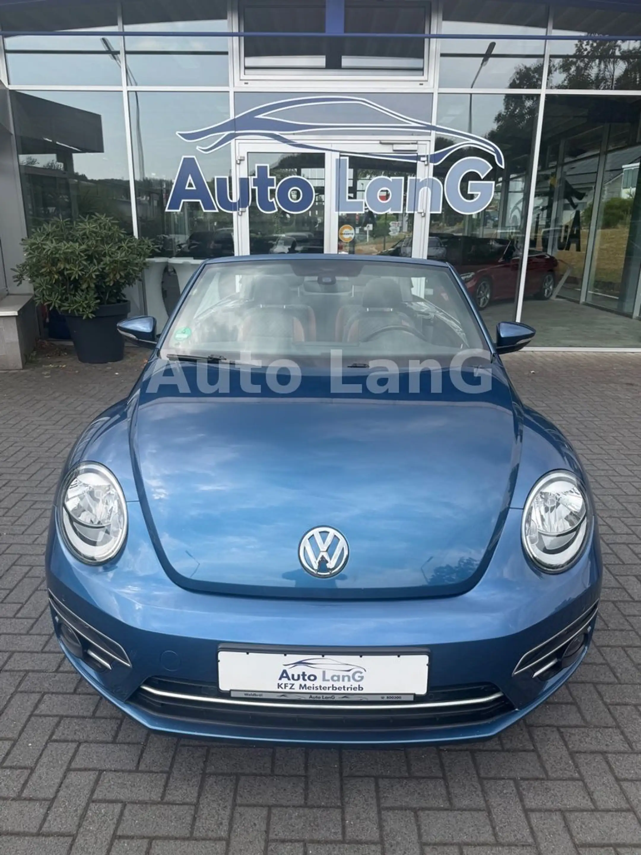 Volkswagen Beetle Cabrio Allstar DSG NAVI KAMERA PDC SHZ — photo 5