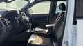 Ford Ranger Wildtrak Alucab canopy camper Wit - thumbnail 2
