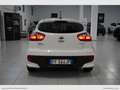 Kia Rio 1.4 CRDi 5p. Active Bianco - thumbnail 4