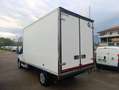 Ford Transit Transit FRIGO STRADA RETE FRCX Bianco - thumbnail 4