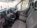 Ford Transit Transit FRIGO STRADA RETE FRCX Bianco - thumbnail 5