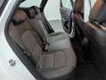 Kia XCeed Ceed SW 1.6 HYBRID SPIRIT/FACELIFT*ACC*AHK*GARA Weiß - thumbnail 20