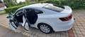 Volkswagen Arteon Arteon 2,0 3H TDI SCR DSG Weiß - thumbnail 4