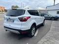 Ford Kuga 1.5 tdci Business s&s 2wd 120cv Bianco - thumbnail 2