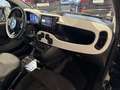Fiat Panda Pandina Cross 1.0 firefly hybrid Virtual App conn Vert - thumbnail 13