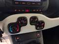Fiat Panda Pandina Cross 1.0 firefly hybrid Virtual App conn Vert - thumbnail 11
