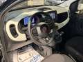 Fiat Panda Pandina Cross 1.0 firefly hybrid Virtual App conn Vert - thumbnail 8