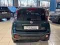 Fiat Panda Pandina Cross 1.0 firefly hybrid Virtual App conn Vert - thumbnail 6