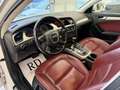 Audi A4 2.0 tdi 143cv multitronic  Automatica pelle Blanc - thumbnail 8