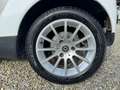 smart forTwo Fortwo II 2007 1.0 Passion 71cv Blanc - thumbnail 10