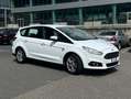 Ford S-Max 2.0 TDCi 150CV Start&Stop Titanium Bianco - thumbnail 14