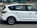 Ford S-Max 2.0 TDCi 150CV Start&Stop Titanium Bianco - thumbnail 12