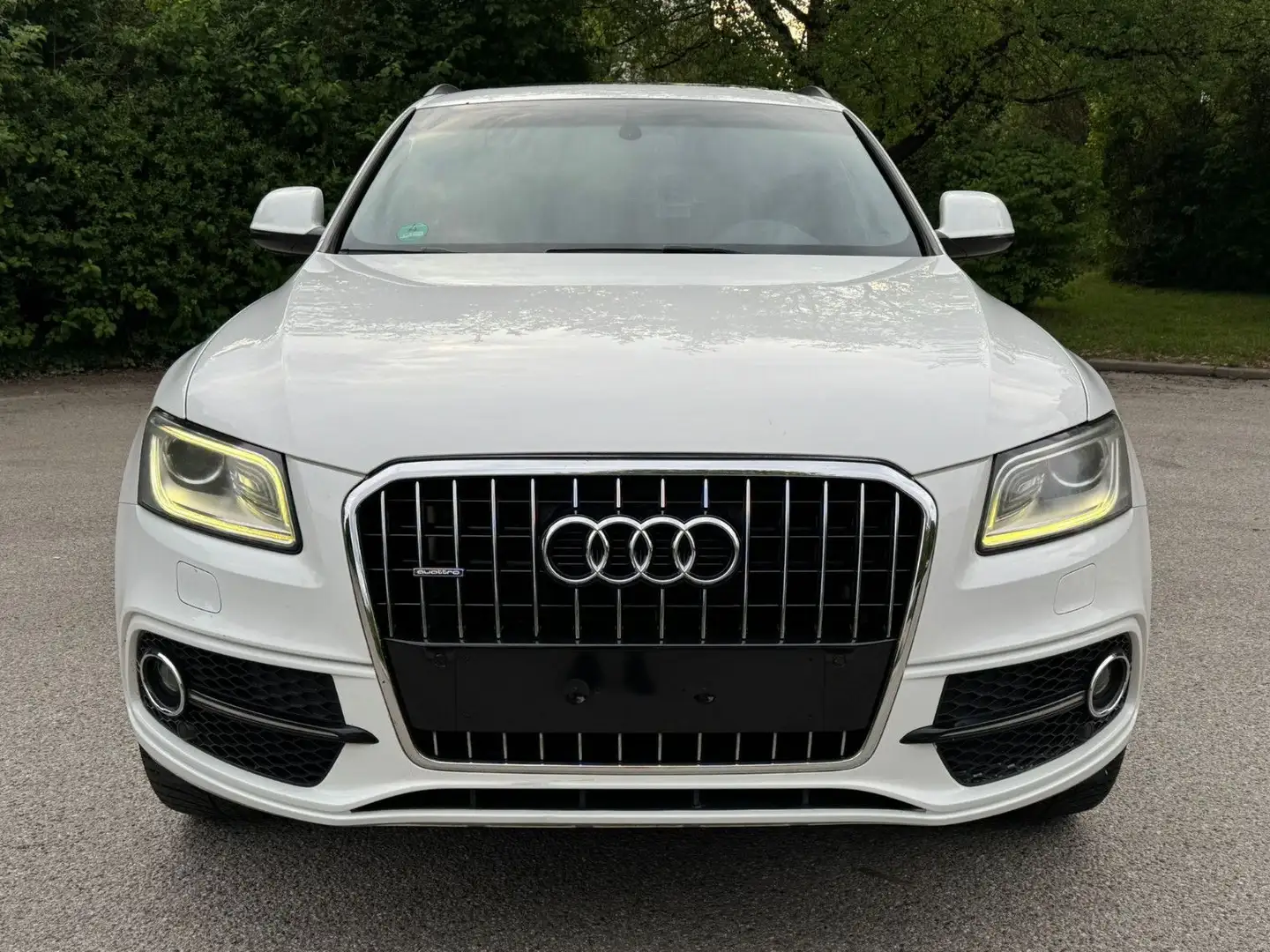 Audi Q5 2.0 TDI S tronic quattro S-Line Panora Automa Wit - 2