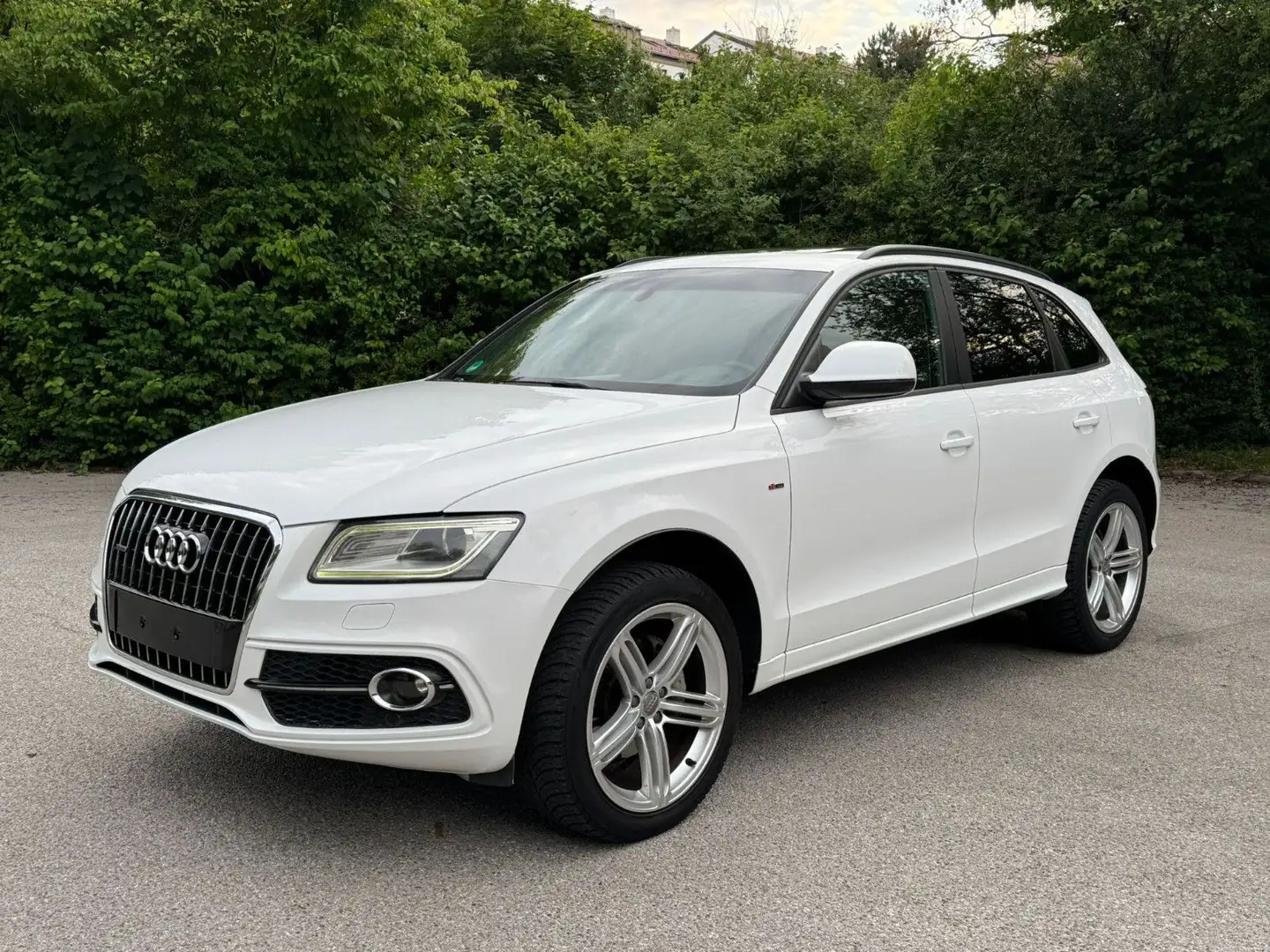 Audi Q5 2.0 TDI S tronic quattro S-Line Panora Automa Wit - 1