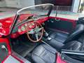 Innocenti Sonstige s 32/1 Spyder 950 Targa Oro Rot - thumbnail 12