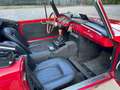 Innocenti Sonstige s 32/1 Spyder 950 Targa Oro Rot - thumbnail 14