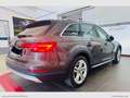 Audi A4 allroad 3.0 TDI 272CV tipt. Business Marrone - thumbnail 6