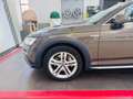 Audi A4 allroad 3.0 TDI 272CV tipt. Business Marrone - thumbnail 14