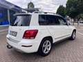 Mercedes-Benz GLK 250 GLK -Klasse GLK 250 CDI BlueTec 4Matic Weiß - thumbnail 4