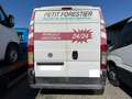 Fiat Ducato*Klima*Kasten*Motorschaden* Weiß - thumbnail 3