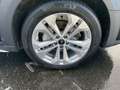 Audi A4 allroad A4 allroad 40 TDI q. S-Tronic, LED, ACC, Navi To Schwarz - thumbnail 16