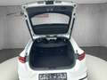 Kia ProCeed / pro_cee'd 1.5 GT Line LED/Kamera/4xSHZ Weiß - thumbnail 14