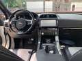 Jaguar F-Pace 2.0L i4D AWD Automatico RSport 5p. Fehér - thumbnail 17