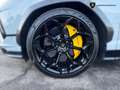 Lamborghini Urus 4.0 V8 auto PERFORMANTE Grau - thumbnail 10