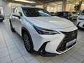 Lexus E-FOUR Business AHK Leder elektrische Sitzverstell Blanc - thumbnail 2