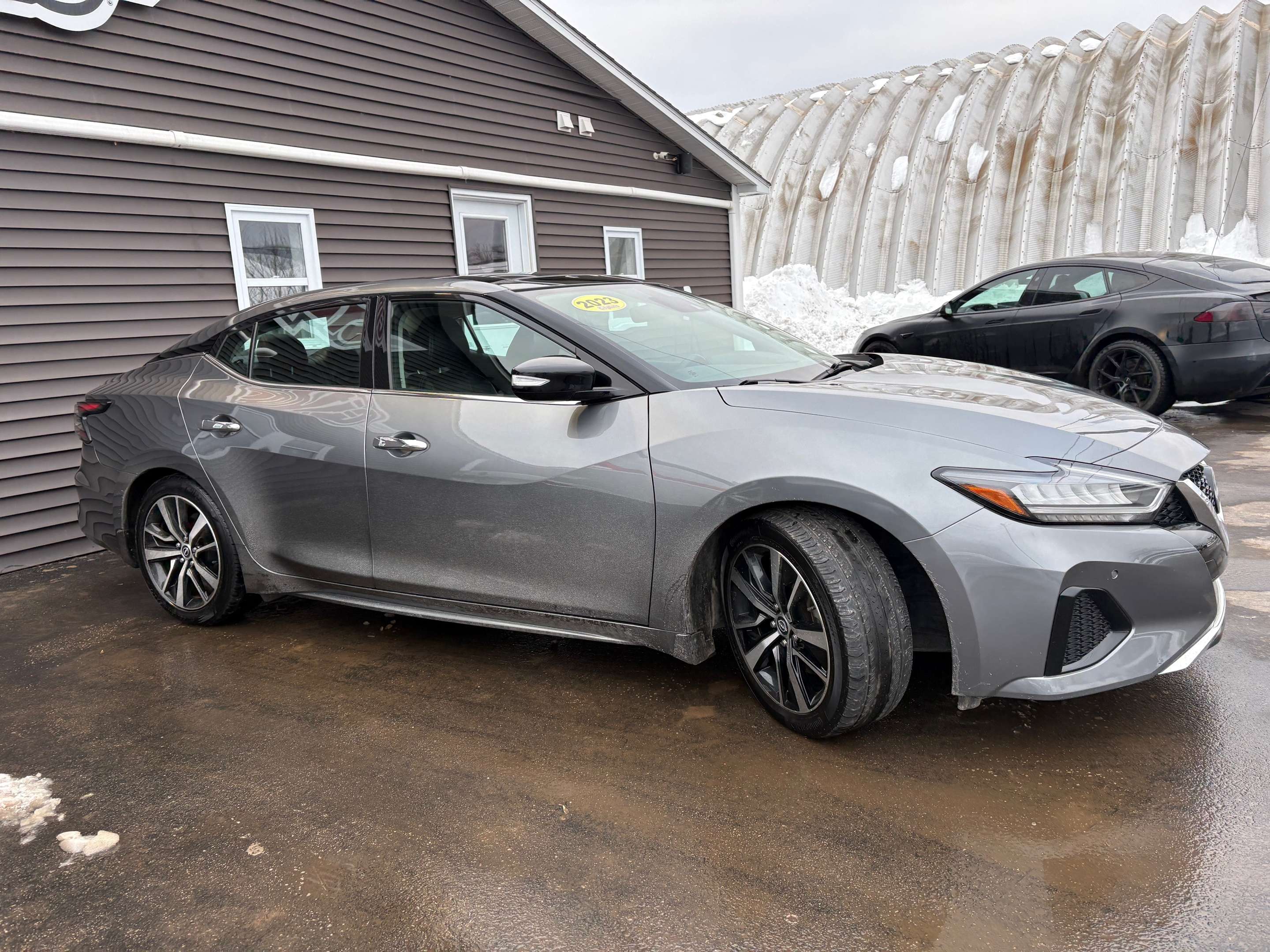 2023 Nissan Maxima SL — photo 1