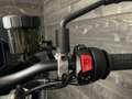 Moto Guzzi V 100 MANDELLO S VERDE DEMO - thumbnail 22