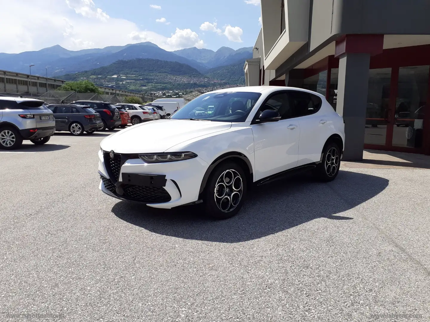 Alfa Romeo Tonale 1.6 MJET 130 CV Sprint Bianco - 2