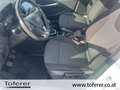 Opel Crossland X 1,2 Turbo ECOTEC Direct Injection Edition St./St Weiß - thumbnail 15