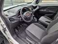 Fiat Doblo 1.3 multijet n1 Bianco - thumbnail 9