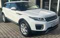 Land Rover Range Rover Evoque Range Rover Evoque 2.0 TD4 150 CV 5p. Pure Bianco - thumbnail 1