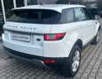 Land Rover Range Rover Evoque Range Rover Evoque 2.0 TD4 150 CV 5p. Pure Bianco - thumbnail 3