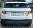 Land Rover Range Rover Evoque Range Rover Evoque 2.0 TD4 150 CV 5p. Pure Bianco - thumbnail 4