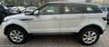 Land Rover Range Rover Evoque Range Rover Evoque 2.0 TD4 150 CV 5p. Pure Bianco - thumbnail 6