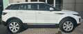 Land Rover Range Rover Evoque Range Rover Evoque 2.0 TD4 150 CV 5p. Pure Bianco - thumbnail 2