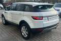Land Rover Range Rover Evoque Range Rover Evoque 2.0 TD4 150 CV 5p. Pure Bianco - thumbnail 5