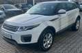 Land Rover Range Rover Evoque Range Rover Evoque 2.0 TD4 150 CV 5p. Pure Bianco - thumbnail 7