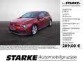 Volkswagen Golf GTI 2.0 TSI DSG Rot - thumbnail 1