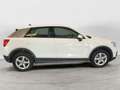 Audi Q2 30 TFSI Business Bianco - thumbnail 6