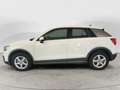 Audi Q2 30 TFSI Business Bianco - thumbnail 5