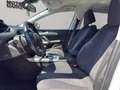 Peugeot 308 5p 1.5 bluehdi Allure Pack s&s 130cv my20 Bianco - thumbnail 14