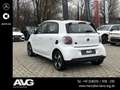 smart forFour smart EQ forfour passion 22 kW Pano LED Tempomat Weiß - thumbnail 6